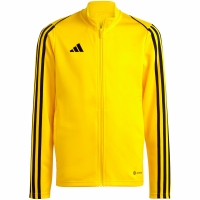 Bluza dla dzieci adidas Tiro 23 League Training zolta IC7874