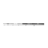 Lanseta BG OFFSHORE PILK 2,40M/50-165G DAIWA