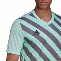 Koszulka męska adidas Entrada 22 Graphic Jersey miętowa HF0119