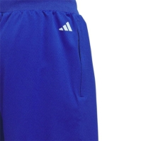 Minge Baschet adidas Slct Logo Shor Short barbat