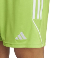 Minge Fotbal adidas Tiro 23 Sho Short barbat