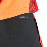 Adidas Tiro 24 Competition Training pantaloni barbati negri si portocalii IP1879