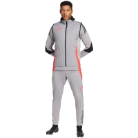 Vesta adidas Tiro 24 Competition Winterized men's gray IY0136