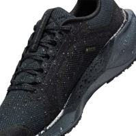 Pantof Nike Pegasus 41 Gore-Tex Waterproof Road Running dama