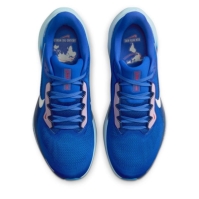 Pantof Nike Pegasus 41 Road Running barbat