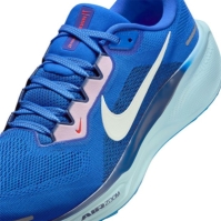 Pantof Nike Pegasus 41 Road Running barbat