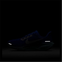 Pantof Nike Pegasus 41 Road Running barbat