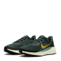 Pantof Nike Pegasus 41 Road Running barbat