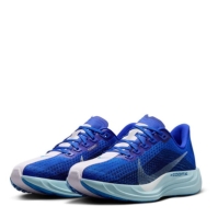 Pantof Nike Pegasus Plus PRM Running dama