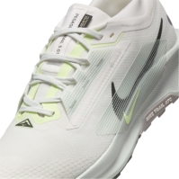 Pantof Nike Pegasus Trail 5 GORE-TEX Running barbat