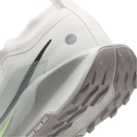 Pantof Nike Pegasus Trail 5 GORE-TEX Running barbat