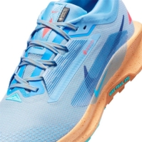 Pantof Nike Pegasus Trail 5 GORE-TEX Running barbat