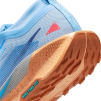 Pantof Nike Pegasus Trail 5 GORE-TEX Running barbat