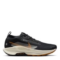 Pantof Nike Pegasus Trail 5 GORE-TEX Trail Running barbat