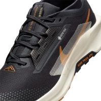 Pantof Nike Pegasus Trail 5 GORE-TEX Trail Running barbat