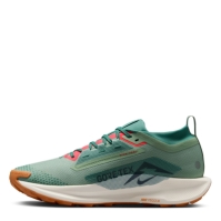 Pantof Nike Pegasus Trail 5 GORE-TEX Running barbat