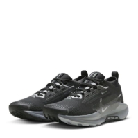 Pantof Nike Pegasus Trail 5 GORE-TEX Trail Running dama