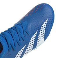 Pantof Minge Fotbal adidas Predator Accuracy.3 FG GZ0026