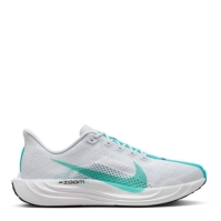 Pantof sport Nike Pegasus Plus barbat