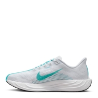 Pantof sport Nike Pegasus Plus barbat