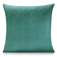 Alan Symonds Plain Green Outdoor Water-repellant Cushion Pair