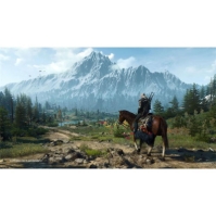 Bandai Namco Entertainment THE WITCHER 3: WILD HUNT - COMPLETE EDITION