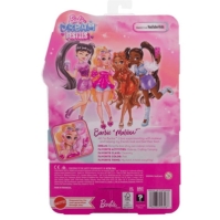 Barbie BESTIES BARBIE MALIBU