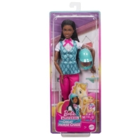 Barbie Mysteries the Great Horse Chase Brooklyn