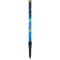 Nordic Walking Poles Viking Ruten Pro 650-22-5190-15-UNI