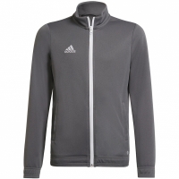 Jacheta Bluza dla dzieci adidas Entrada 22 Track szara H57521