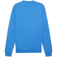 Bluza trening Puma Team Goal Casuals Crew Neck Sweat men's blue 658592 02