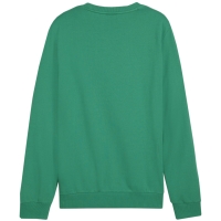 Bluza trening Puma Team Goal Casuals Crew Neck Sweat men's green 658592 05