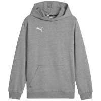 Bluza trening 's Puma Team Goal Casuals Hoddy gray 658619 33 copil