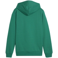 Bluza trening 's Puma Team Goal Casuals Hoddy green 658619 05 copil