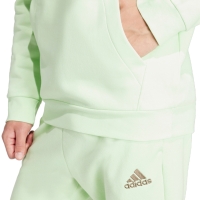 Bluza Hanorac pentru b?rba?i adidas Essentials Hanorac verde IN0327