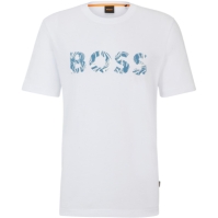 Boss Te_Bossocean 10249510 01