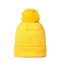 New Era Anim Pom Beanie Jn99