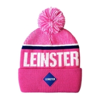 Team Beanie Hat Lds52