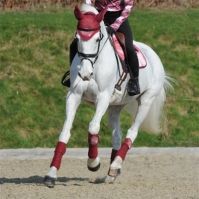 Weatherbeeta Prime Marble Ear Bonnet