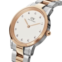 Daniel Wellington Lumine 32 Plated Stainless Steel Classic Watch