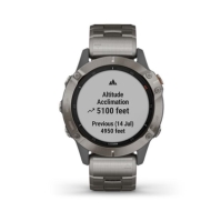 Garmin 6 Sapphire Plastic/resin Fitness Watch