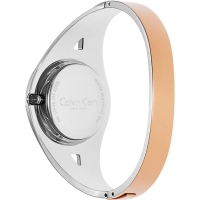 Ceas QUARTZ CALVIN KLEIN K8E2S1Z6 pentru Femei multicolor argintiu