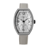 Ceas QUARTZ MONTRES DE LUXE 09EX-LAS-8300 pentru Femei argintiu alb