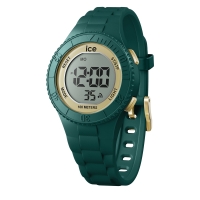 Ceas QUARTZ UNISEX ICE 021619 verde auriu