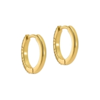 Ted Baker Ted HEPLIE Earrings Ld44