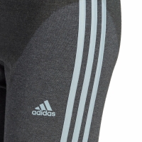 's adidas Essentials 3-Stripes High-Waisted Single Tights Dark Gray IL3310 dama