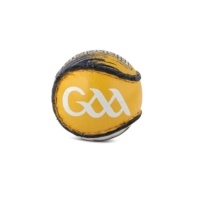 County Sliotar 51