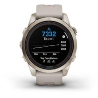 Garmin Fnx 7S Pr Spphr Slr