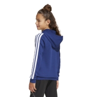 Hanorac adidas Codes Collegiate Graphic copil