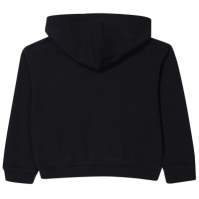 Champion G Hooded Sw Ch99